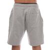 Weekend Offender Mens Scandium Shorts
