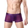 1Pc Men Panties Nylon Solid Color Sheer Mesh Pouch Lingerie Boxer Sexy Underwear Briefs