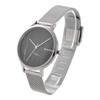 SKAGEN SKW2673 [продукт]