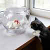4 шт. Милая фигурка кошки и золотой рыбки в аквариуме, маленький аквариумный животный орнамент для украшения рабочего стола дома