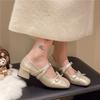Fashion versatile and comfortable women's thick heel single shoes French celebrity temperament with skirt single shoes 2025 spring and summer new