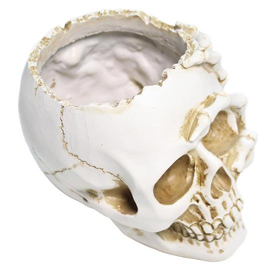 Кашпо в виде черепа, смола, кашпо в виде человеческого черепа, атмосферостойкое, готическое кашпо для посадки суккулентов, для использования в помещении и на улице