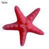 5 шт., украшение в виде морской звезды, пляж, океан, морская звезда, украшение для дома, стены и вечеринки