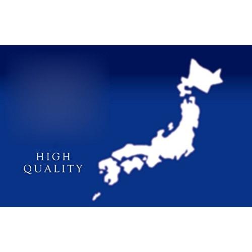 PEARL METAL Сковорода для омлета Tsubame-Sanjo из железа, 9,5 x 20 см, подходит для индукционных плит, для сворачивания за один раз, сковорода для омлета для бенто-бокса, железо, черная, HB-2407