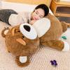 Plush Bear Toy Dolls Pillow Room Decoration Ornament Children Birthday Gifts