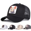Summer Cat Embroidery Adjustable Men and Women Hat Couple Hiking Baseball Cap Mesh Hip Hop Caps Animal Hats