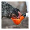 Chicken Coop Feed Quail Plastic Automatic Drinker Plastic Chicken Hen Poultry Water Drinking Cups