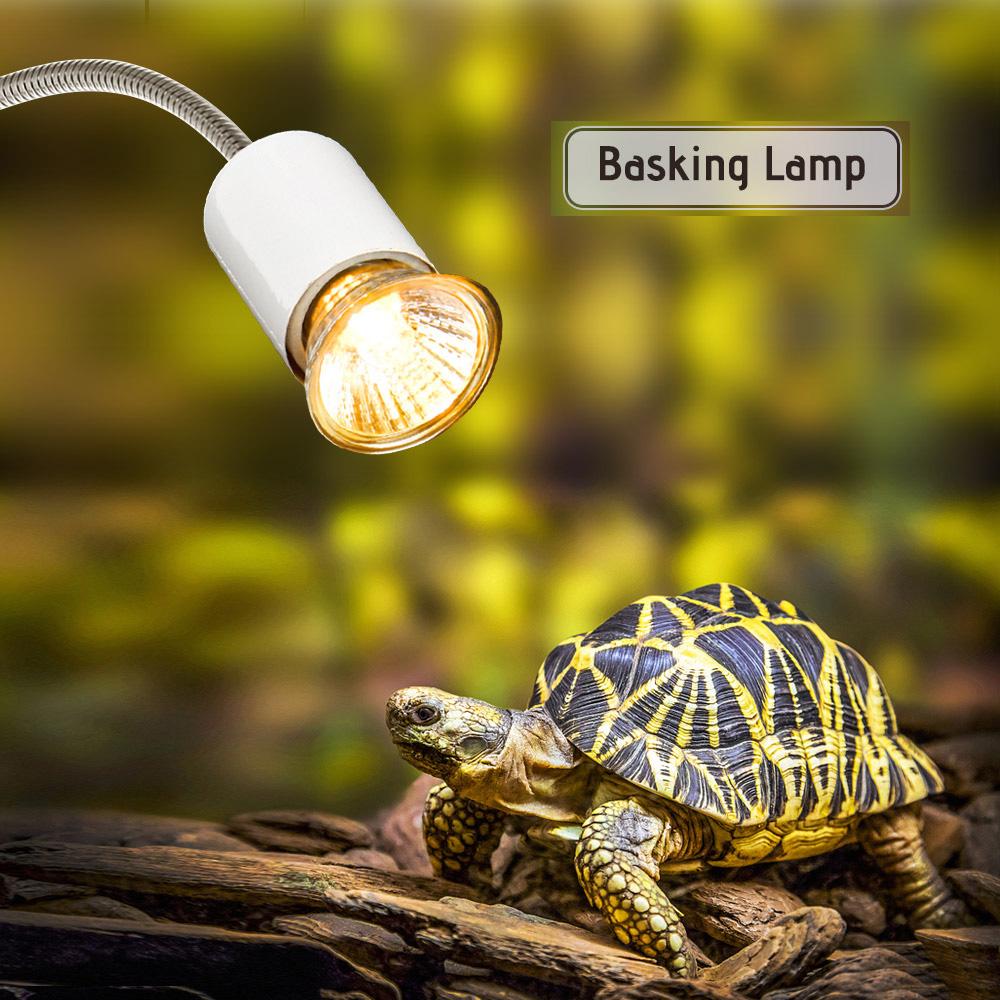 Decdeal 25 Вт галогенная тепловая лампа UVA UVB греющая лампа нагреватель лампочка для рептилий ящерица черепаха