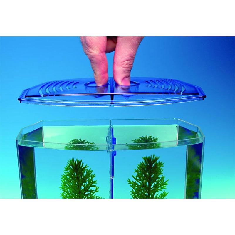 Большой двухсекционный ящик для бойцовых рыбок, экологический аквариум для рыбок, мини-аквариум, пластиковый изоляционный ящик для разведения рыб
