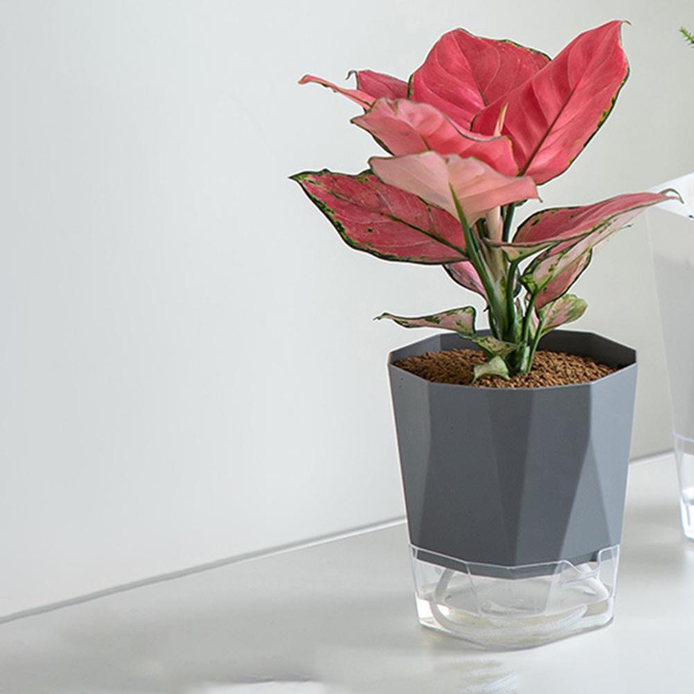 Прозрачный пластиковый цветочный горшок с двойным слоем, самополивающийся цветочный горшок, хлопковый шнур для полива, горшок для растений для балкона, столешницы