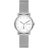 Watch Skagen SKW3100