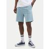 Шорты спортивные Jack & Jones Vesterbro
