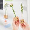 Yousheng Hydroponic Plants Test Tube Vase Window Холодильник Магнит Деревянная основа Растения Ваза для размножения Кашпо Домашний Офис Кухня Холодильник Украшения