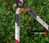 Horticultural Pruning Shears: Garden, Flower, Hedge, and Tree Branch Trimmers