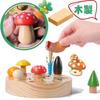 CORPER TOYS Деревянный пазл, пазл с подгонкой, магнитная игрушка, магнитная игрушка, игрушка для рыбалки, насекомое, гриб, для мальчиков и девочек, милая игрушка для дома, красочная головоломка