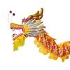 Cang Lang Ya Adult Dragon Dance Set