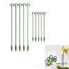 Phalaenopsis Succulent Plant Support Stand with Leaf Protection