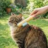 Efficient Cat Hair Remover Comb Bear Shape Cat Grooming Brush Self Cleaning Comb  Remove Lice