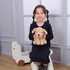 Apricot Lamb Plush Puppy Toy for Soft and Cute Fluffy Puppy for Girls and 20cm Kids, Boys,