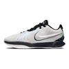 Nike Кроссовки унисекс LeBron 21 EP Conchiolin Белые Черные Bicooastal HF5842-100