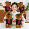 Doctor Hat Bear Doll Plush Toy Bachelor Suit Teddy Bear Doll Student Graduation Commemorative Gift
