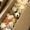 Mini Plush Animal Dolls - Cute Claw Machine Toys for Kids