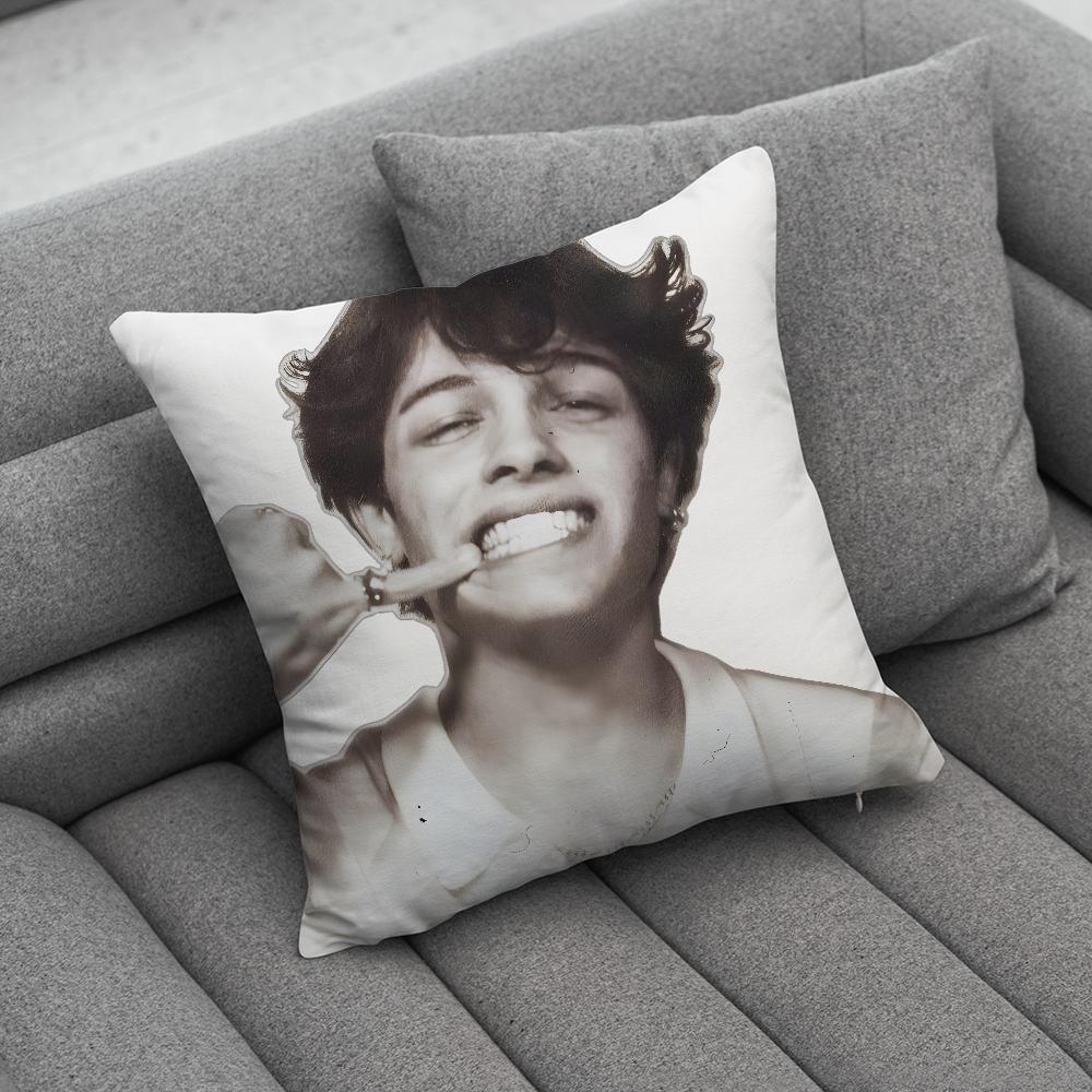 SSturniolo TTriplets Pillow Case Soft Cushion Cases for Farmhouse Sofa Decor Home Decorations and Protector
