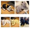 31см Реалистичная Плюшевая Кукла Кошка Мягкая Набивная Игрушка Котенок Чисто Серая Белая Желтая И Другие Для Детской Коллекции Питомцев
