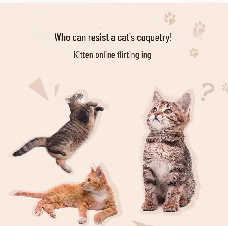 Fully Automatic Japanese Black Kitten Umbrella, Transparent & Reinforced with Long Handle.