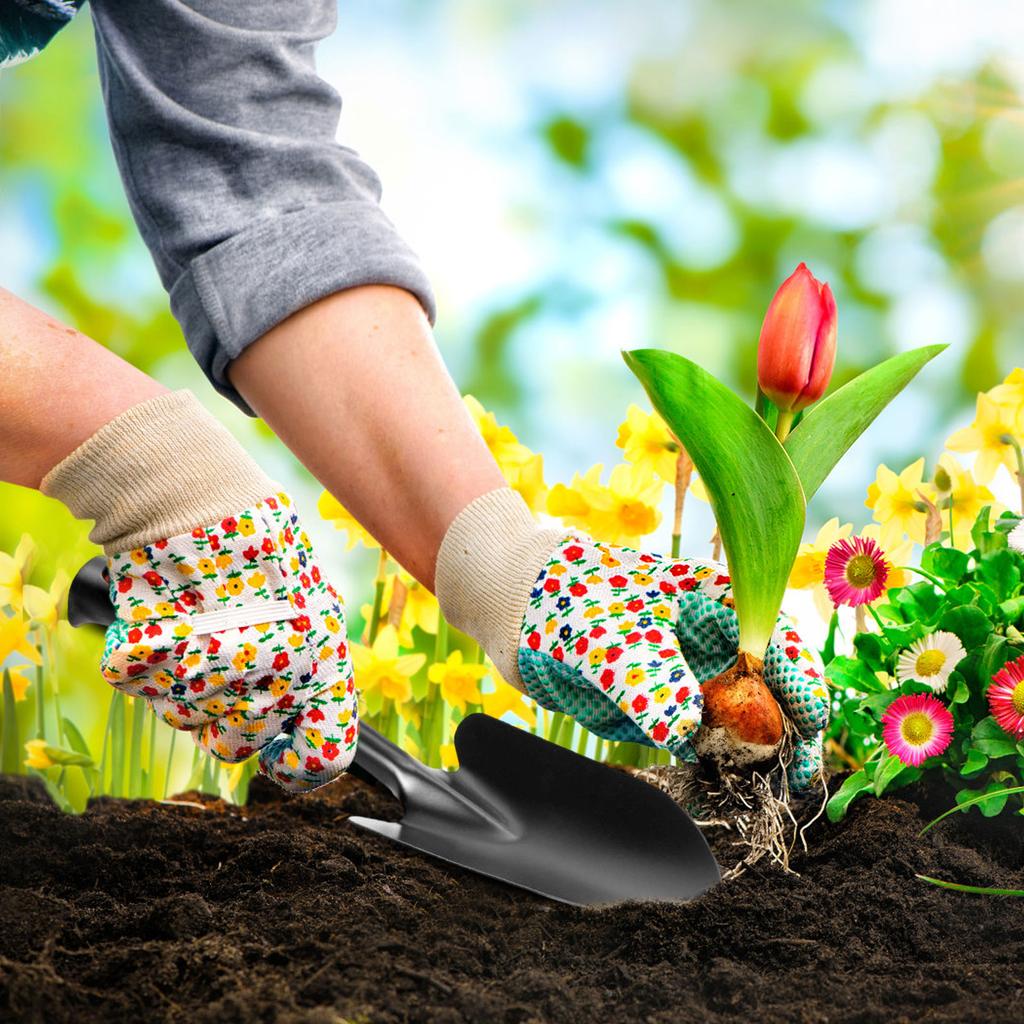 Household And Outdoor Beachcombing Shovel, Soil Rake, Flower Shovel, Small Hoe, Vegetable Planting, Weeding, Gardening Tools