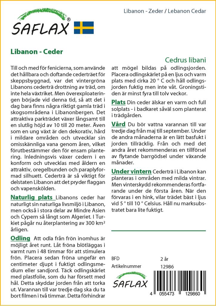 SAFLAX Ливанский кедр - 20 семян - Cedrus libani