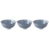 Showa Seito Sendan Tokusa Medium Flat Bowl Set of 3 Mino Ware Made In Japan Dishwasher Safe 11.8×5.5cm