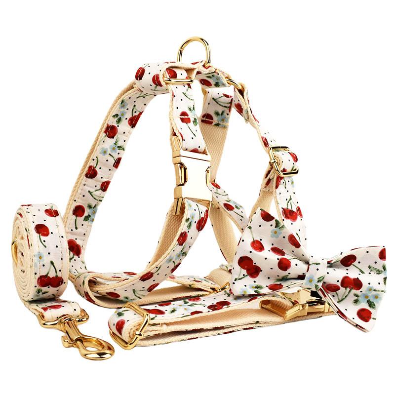 Шлейка для собак из нейлона, ошейник с персонализированным именем, ошейники для маленьких и средних собак, поводок, ошейник, набор, мешок для какашек, шлейка для щенков и кошек