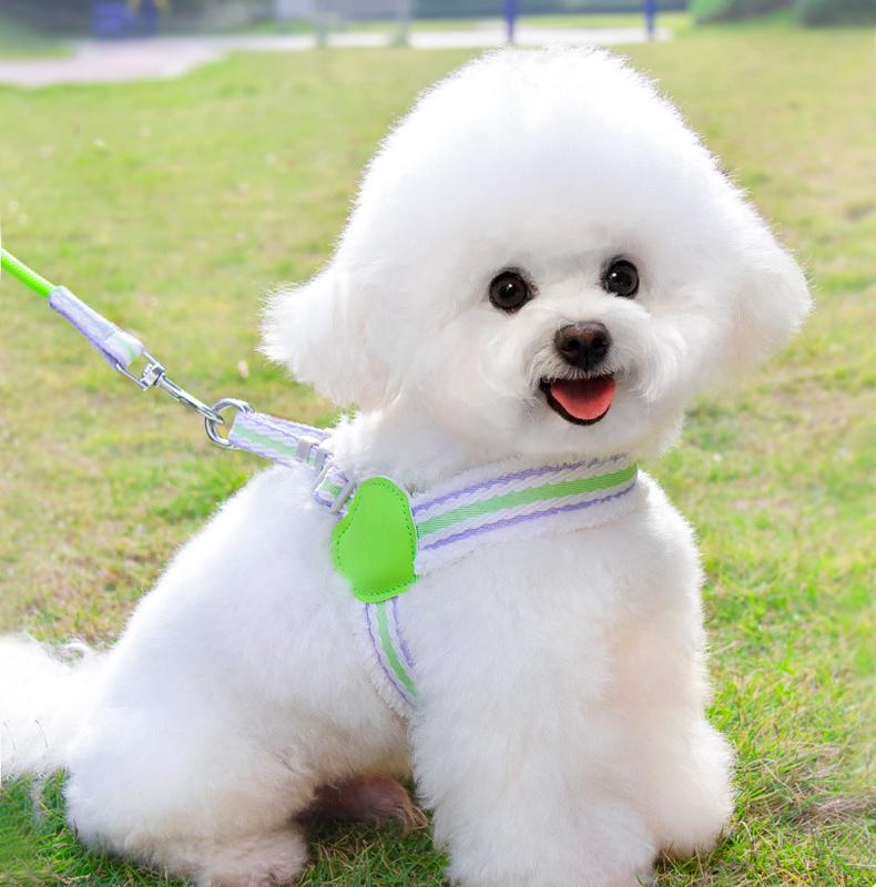 New Cotton Fleece Dog Harness and Leash Suit Heart Pattern Breathable Pet Harness Washable Leash Walking Dog Suit