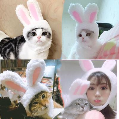 Кошка головной убор милая шляпа кролика кошка головной убор реквизит для выступления забавный забавные кроличьи уши шляпа для питомца