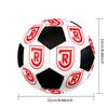 SIZE 5 SSV Jahn Regensburg Soccer Ball Colorful All Ages Machine Stitched PVC Competition Ready Durable High-Bounce