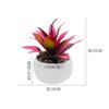 Factory Stone Realistic Lotus Succulent Planter With Green And Colorful Options For Home Decor And Events