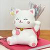 Multi Functional Lucky Cat Stationery Organizer Cartoon Desktop Storage Ornaments  Student