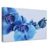 Canvas Print Orchid Flowers Blue