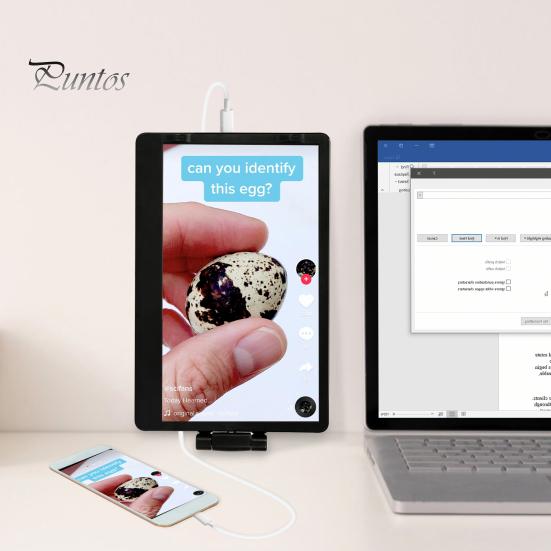 11,6-дюймовый удлинитель экрана ноутбука Компактный дизайн Plug-Play USB-C 3.1 Высокое разрешение удлинитель экрана телефона Портативный монитор