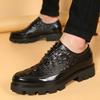 Men's Shoes Crocodile Pattern Trendy Shoes Autumn and Winter Men's British Casual Shoes Inner Height Increase Leather Shoes Trendy Single Shoes Men