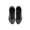 Air Max 2090 Черный Вольф Грей BV9977-001