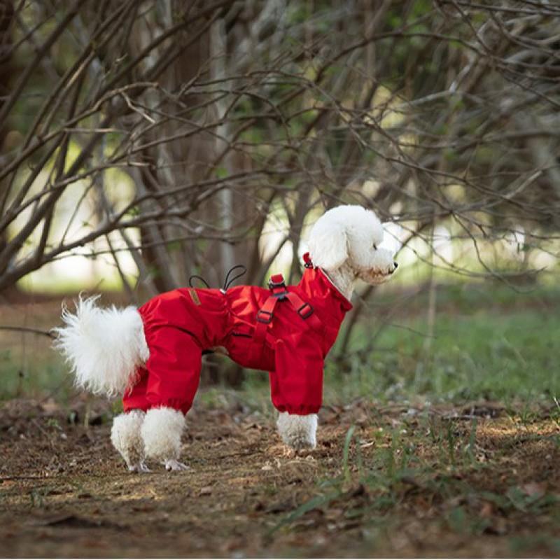 Waterproof Dog Raincoat With Integrated Leash Handle Small Medium Large Breeds Outdoor Use