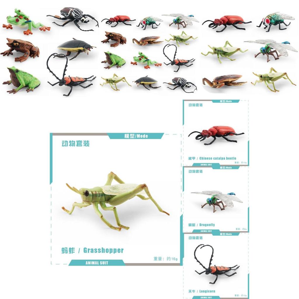 Realistic Pvc Insect Model Set Including Rhinoceros Beetle And Dragonfly For Decoration