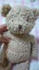 [USED] Teddy Bear