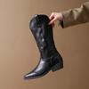 New Autumn and Winter Style Embroidered Western Cowboy Boots Pointy-tipped Medium Thick-heeled Biker Boots Zapatos Mujer