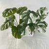 Realistic Leaf Monstera 7 Heads Greenery For Wedding Party Gifts Decor