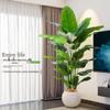 180cm Large Artificial Bird of Paradise Plant with Beige Pot