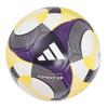 Adidas Connect 25 Соревнование Нет. 5 Ball Футбольный мяч Сертификация Мяч ADF501CO