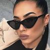 Street Photography Small Frame Cat Eye Sunglasses, Retro Sunglasses Women'S Sunglasses